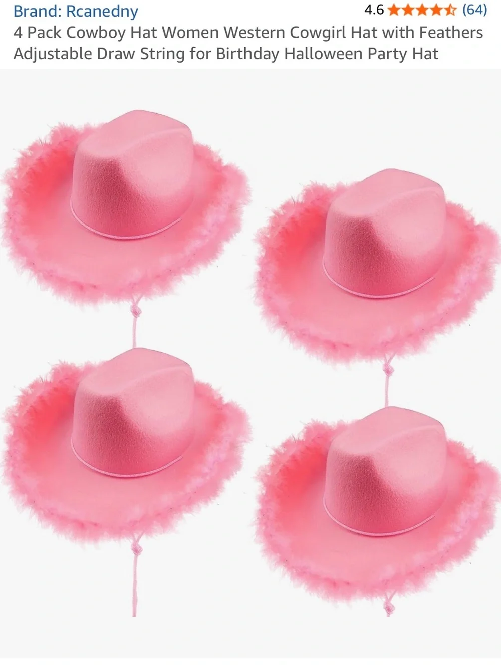 4-Pack Pink Felt Cowboy/Cowgirl Hats